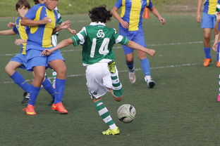 九游登录入口-中国足球高密度传控战术回合成功统计，中国足球高密度传控战术回合成功统计