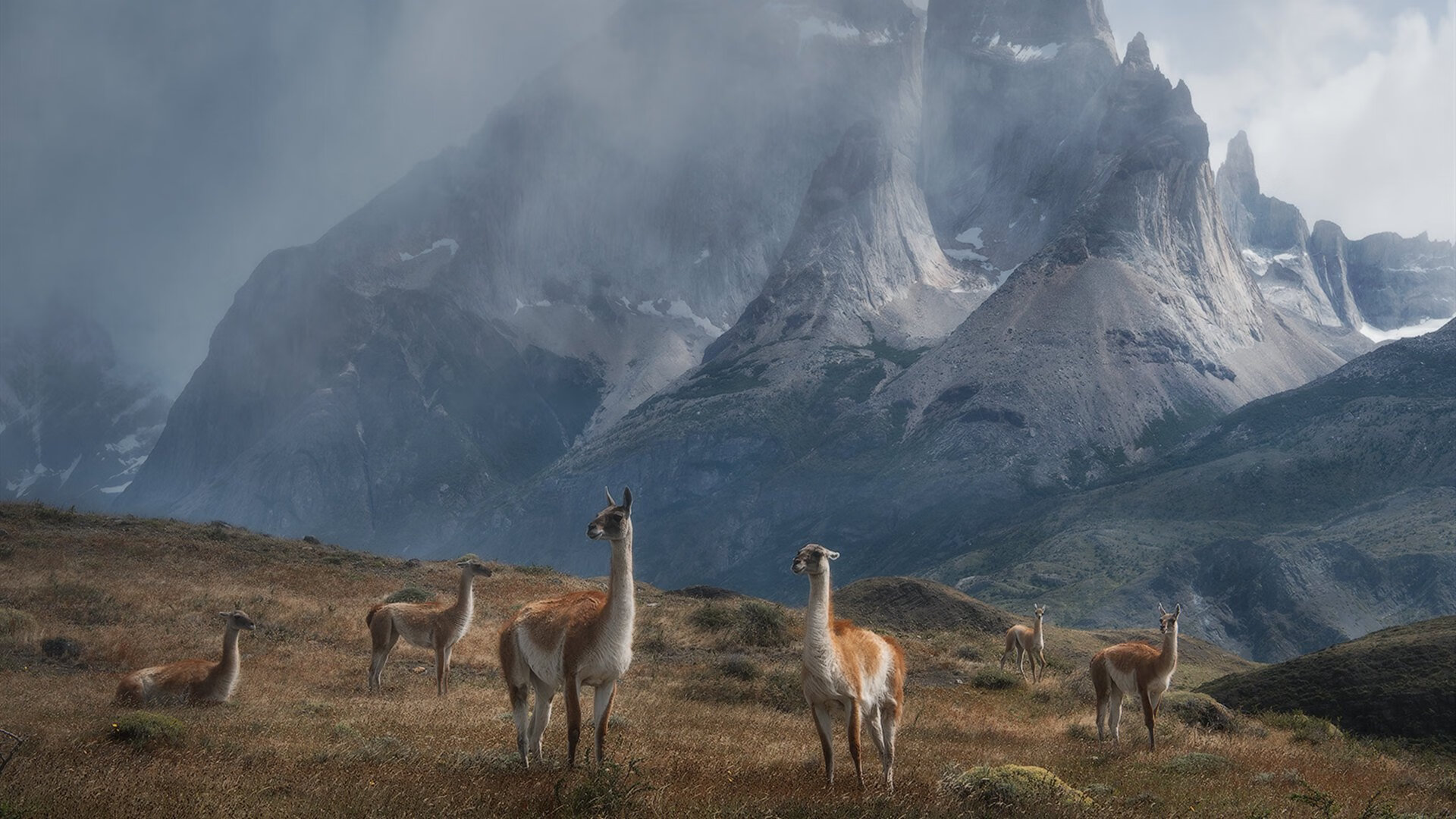 校园体育科技创新活动设计与评估标准，学校体育活动创新