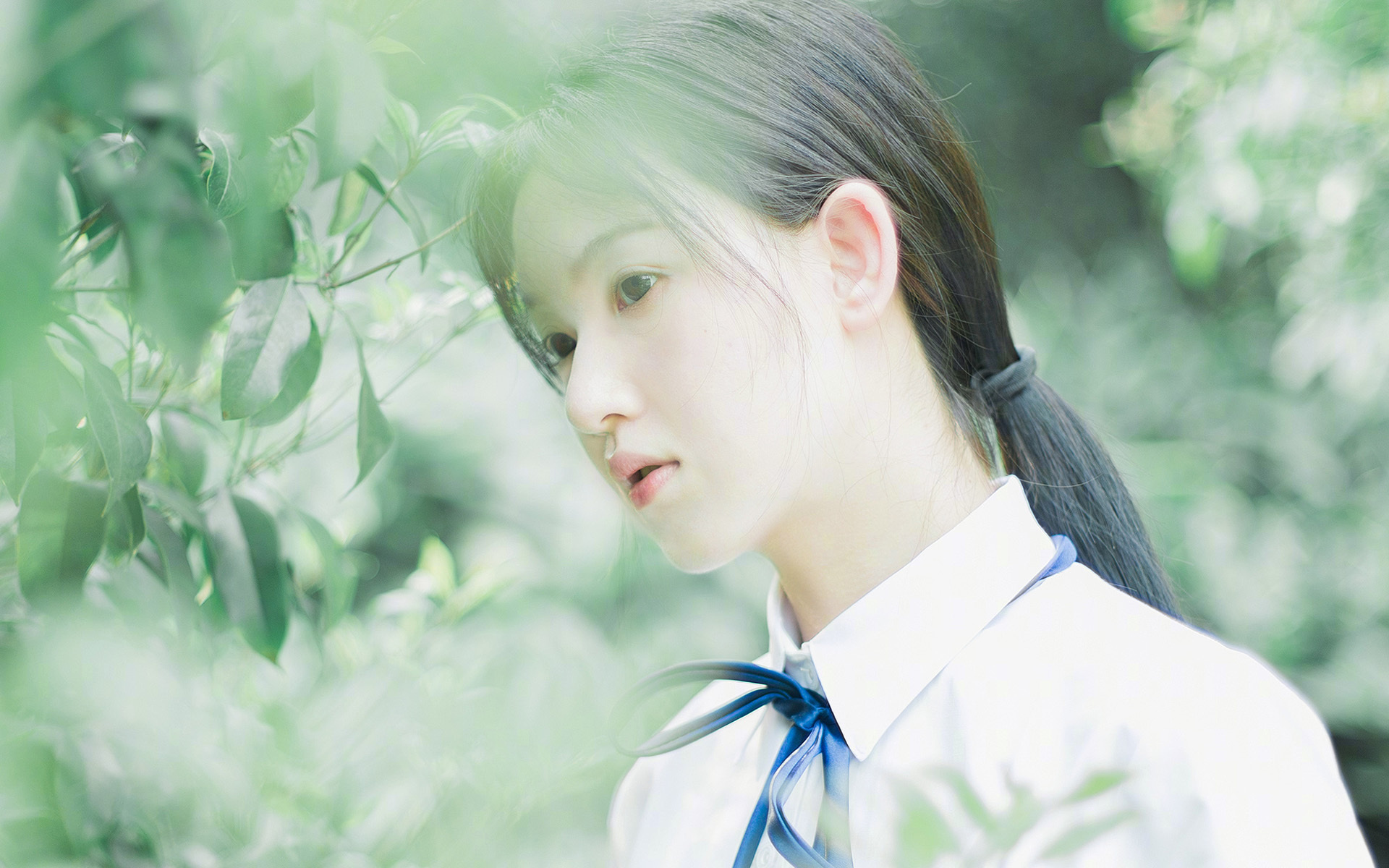 法甲防守策略转型对定位球失球率的影响,法国防守型中场