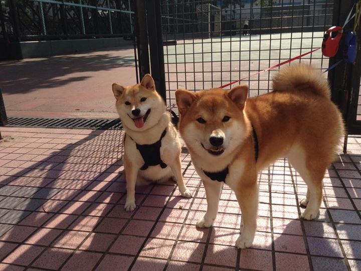 世界杯预选赛中国青年队晋级 球迷期待新星崛起,2022世界杯预选赛中国队怎么样才能出线