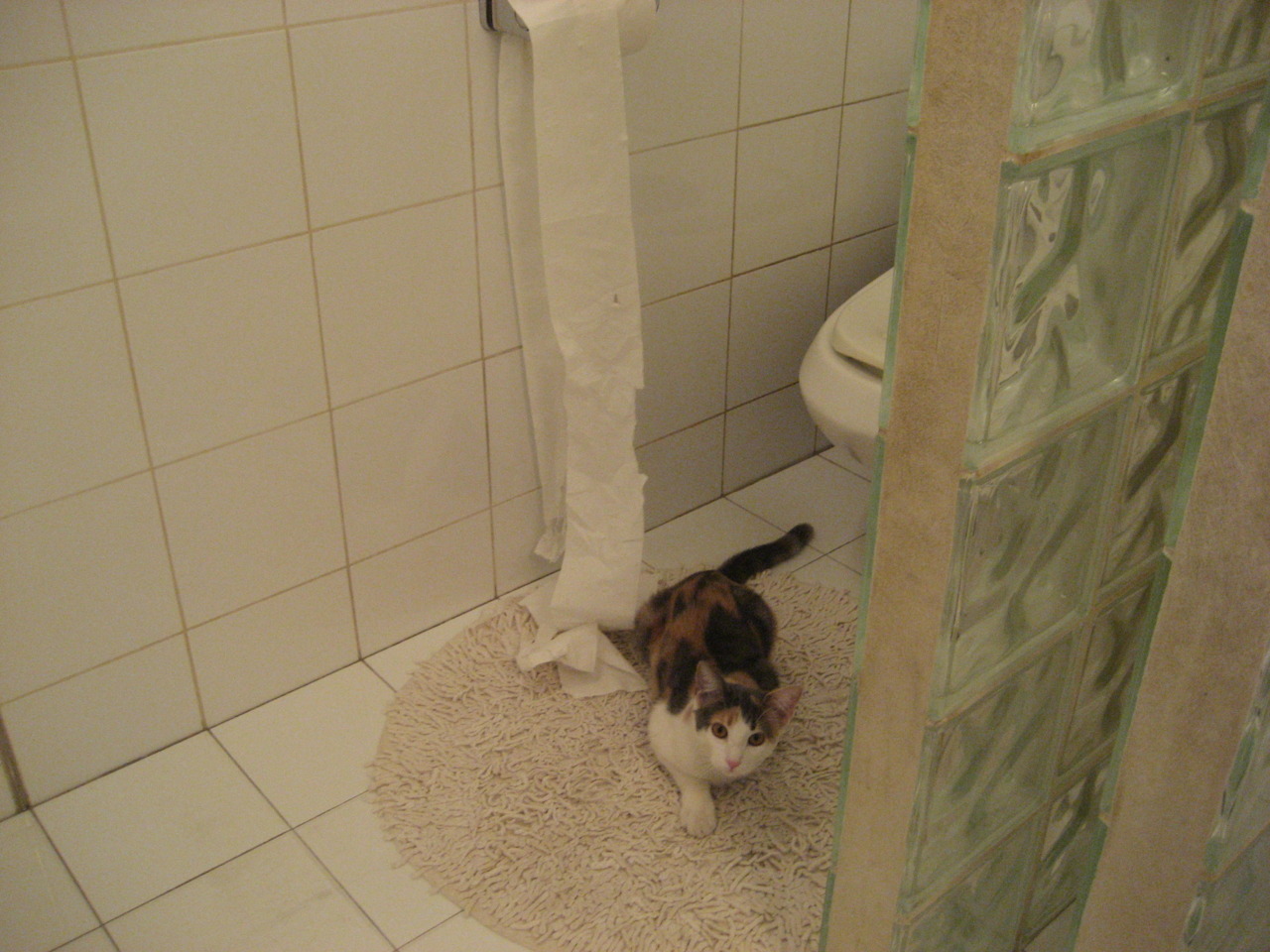 切尔西教练组战术布置获高度评价,切尔西主教练简介