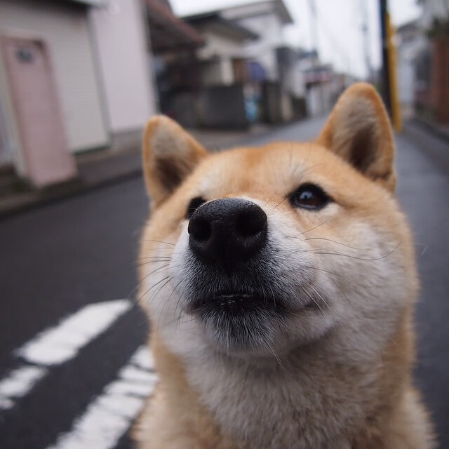 霍勒迪在防守端贡献巨大抢断频频，霍勒迪 防守
