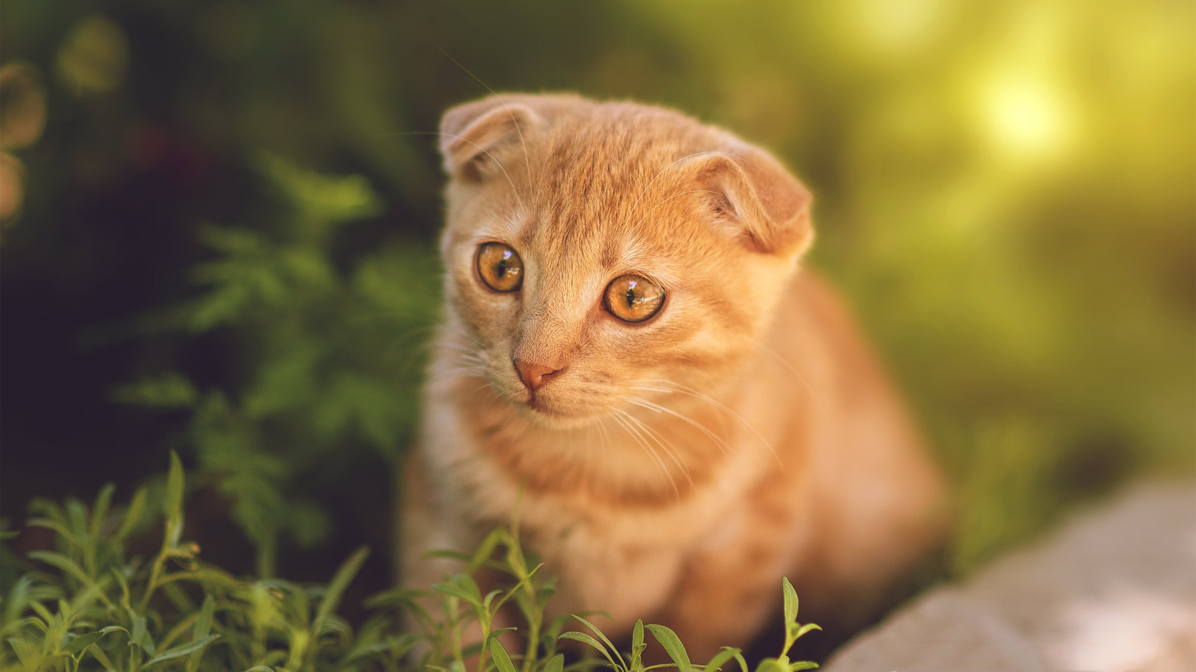 九游娱乐-高校篮球设立运动表现研究室促进数据挖掘应用，浅析我校篮球现状及对策